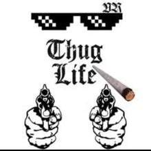 Load image into Gallery viewer, Thug Life Glasses meme